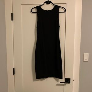 Babaton Dress from Aritzia